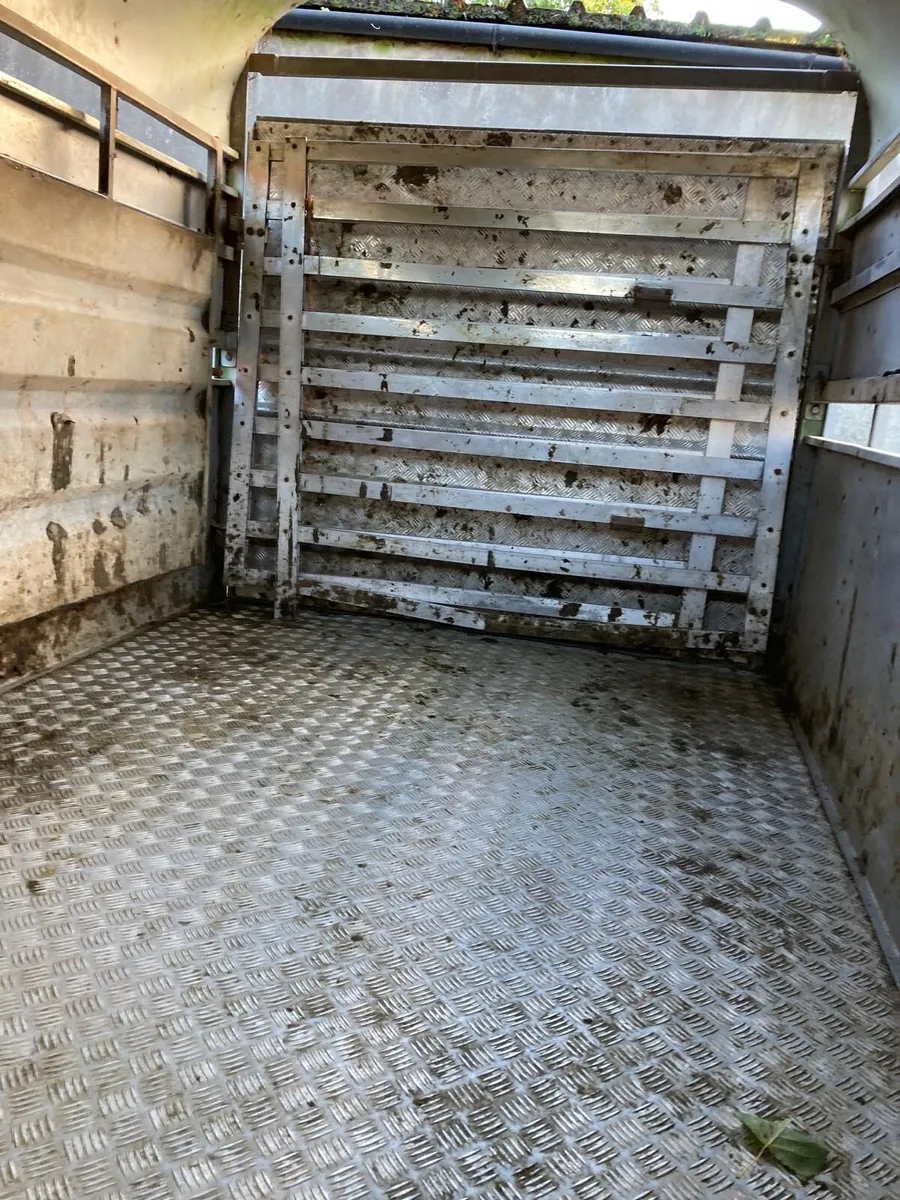 Nugent 12x6 cattle trailer - Image 2