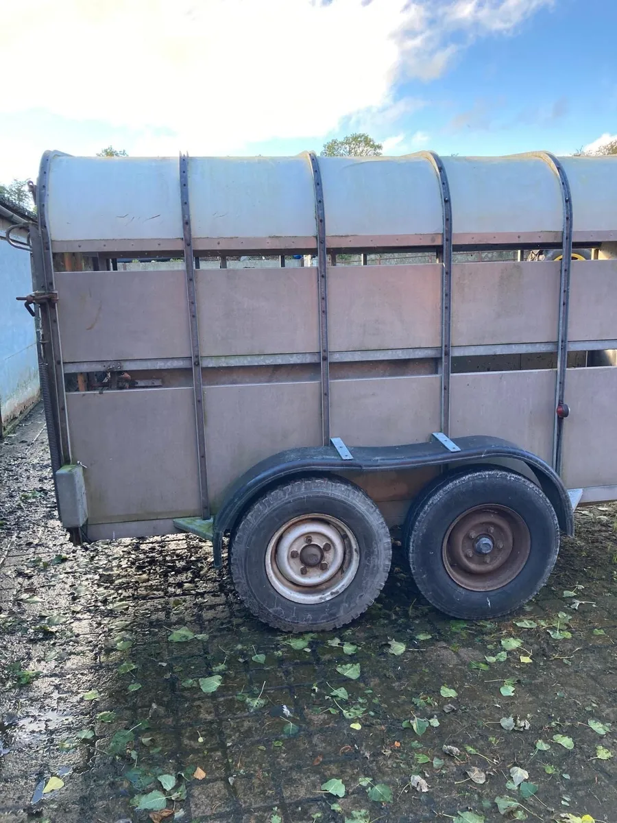 Nugent 12x6 cattle trailer - Image 3