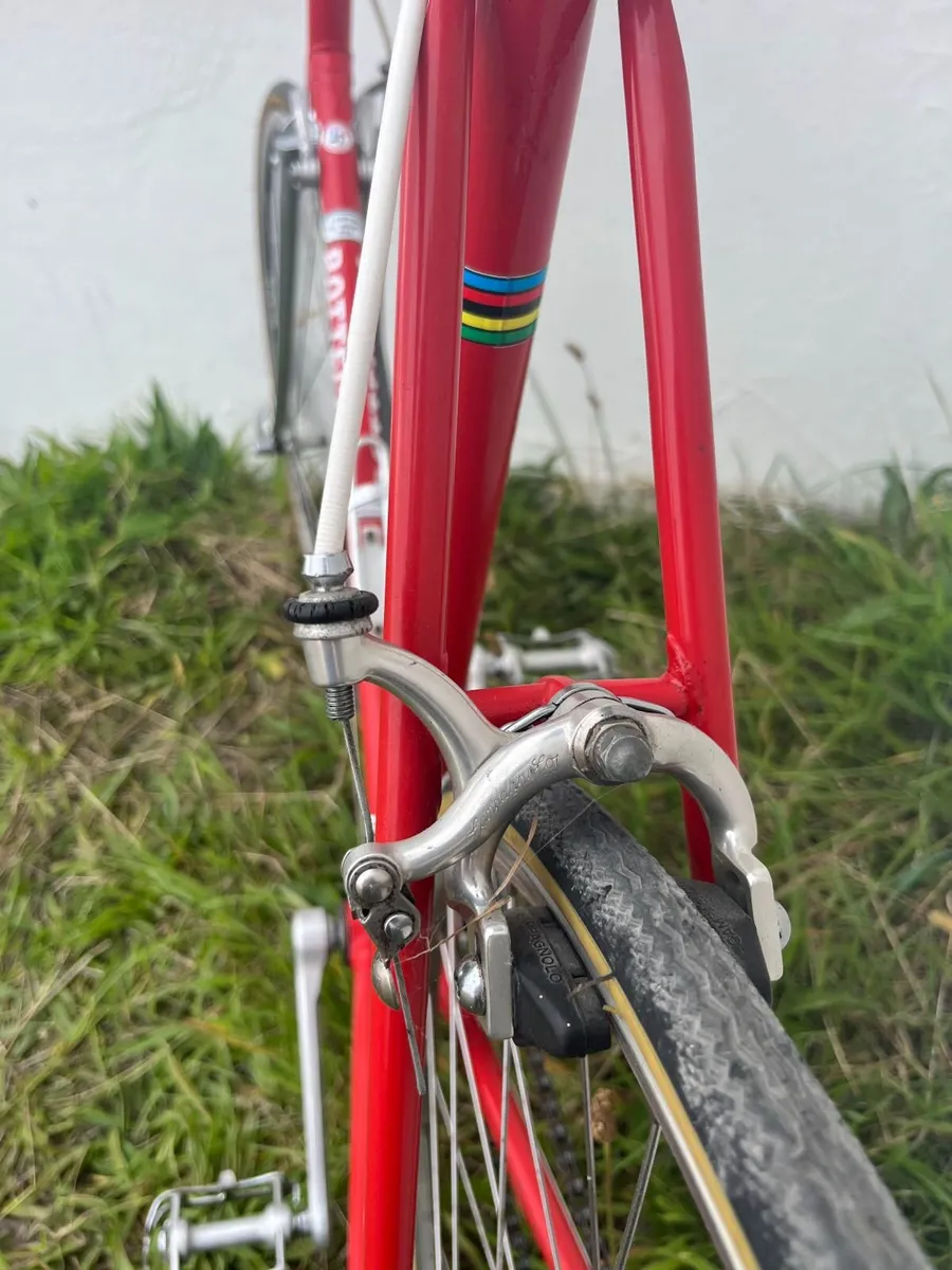 Vintage bike Botteccia - Image 2