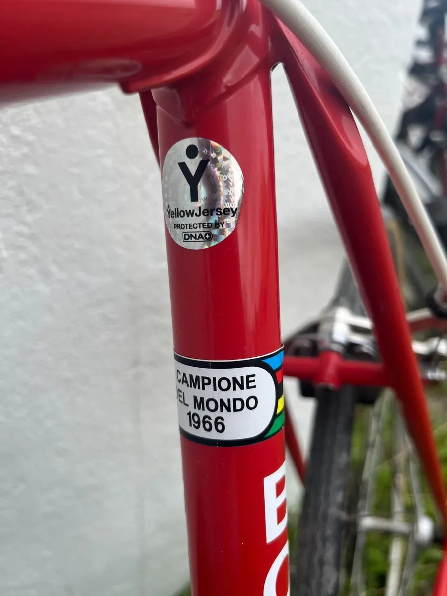 Vintage bike Botteccia - Image 4