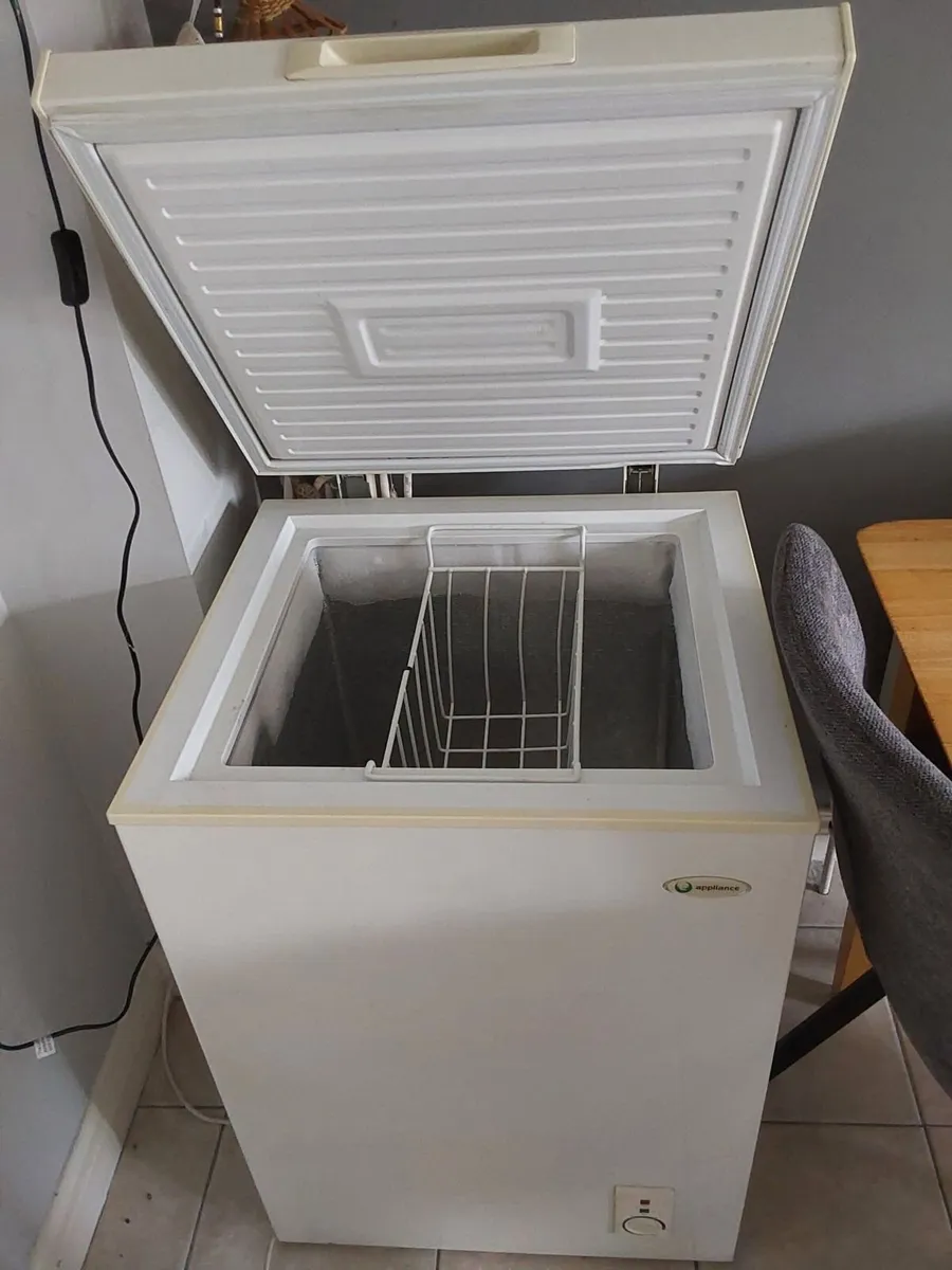 Under counter fridge & free standing freezer - Image 2