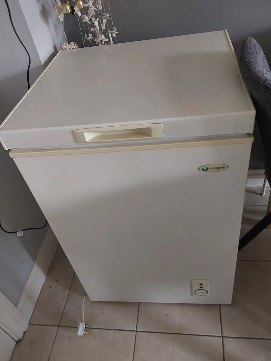 Under counter fridge & free standing freezer - Image 3