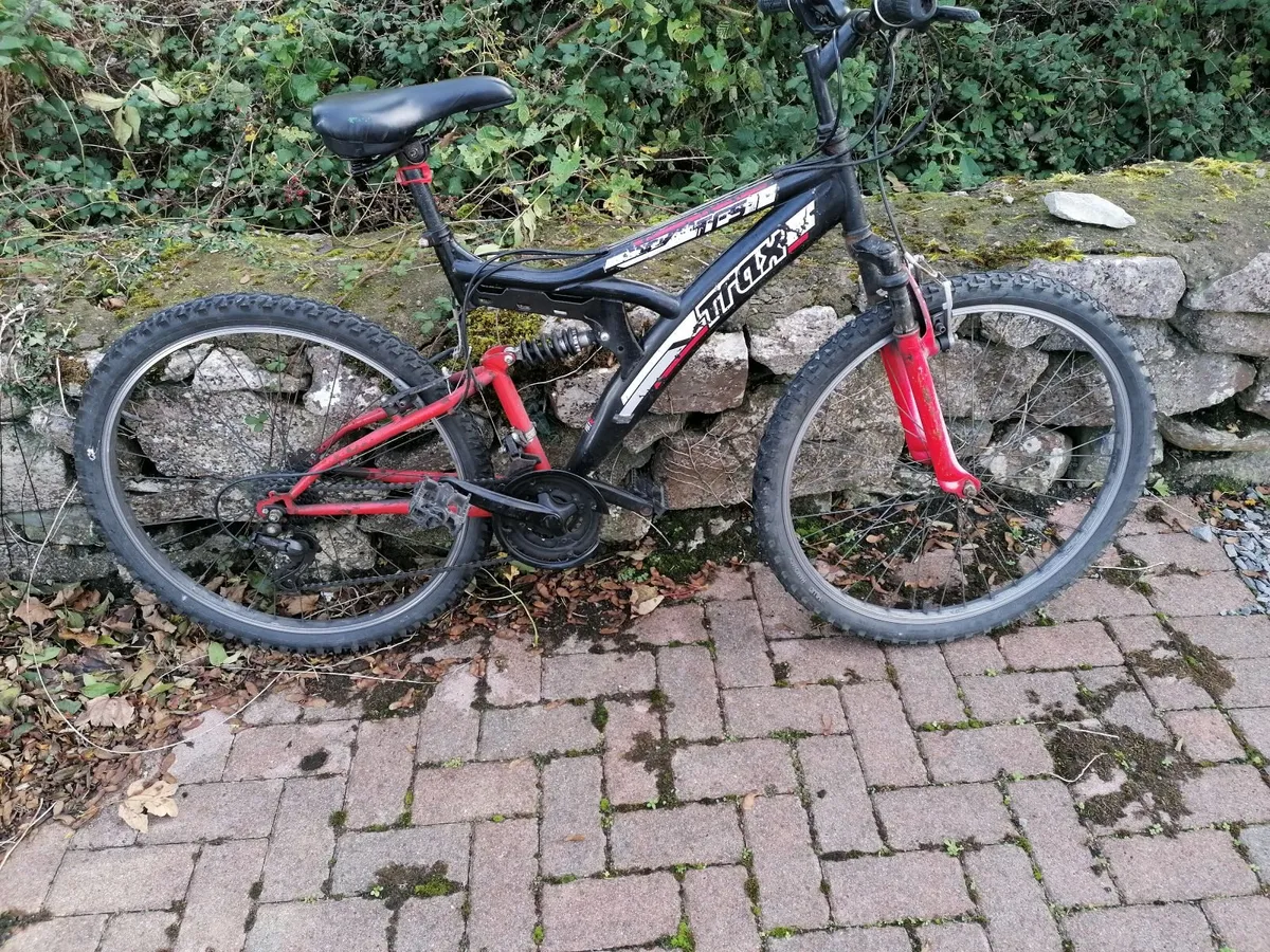 Ladies Bike - Image 2