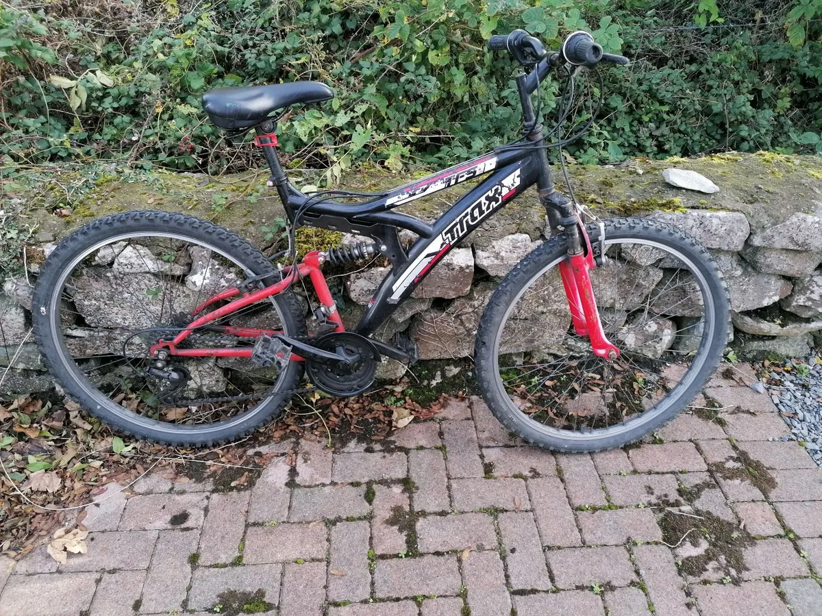 Ladies Bike - Image 3