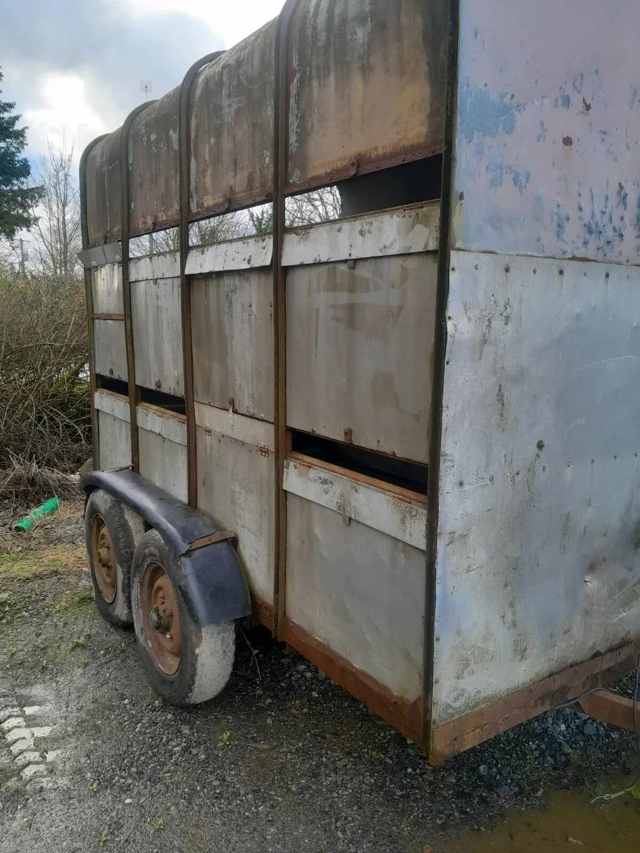 Westwood trailer - Image 2