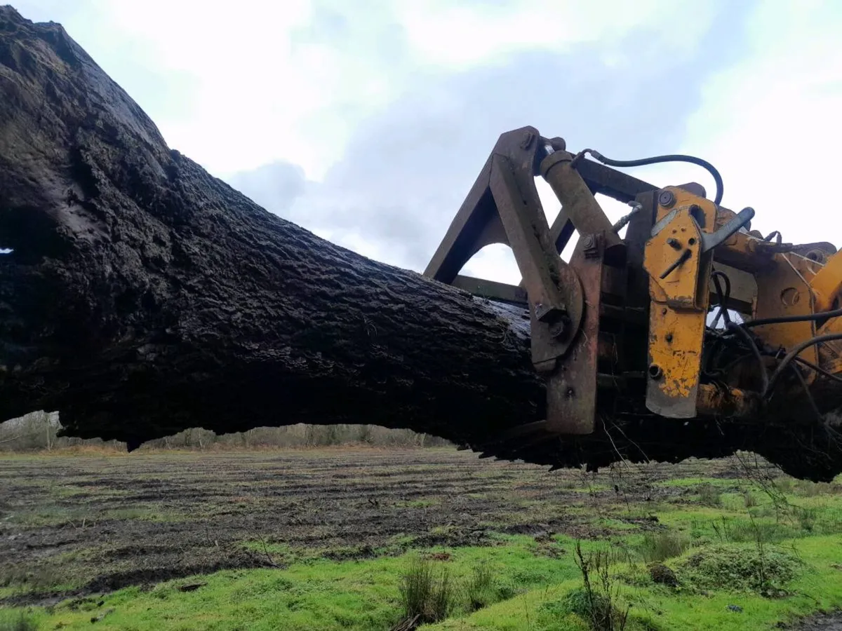 Timber Grab - Image 1