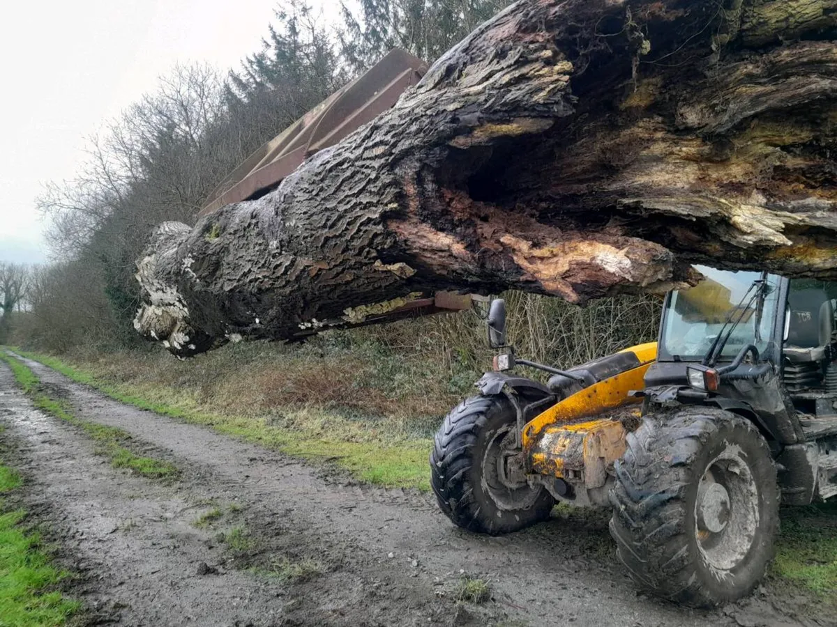 Timber Grab - Image 2