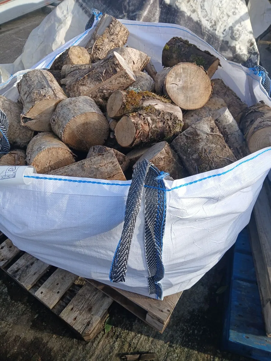 Ash firewood - Image 1
