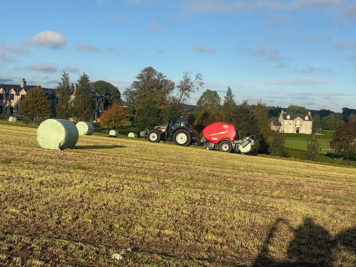 High-quality round bales silage - Image 1