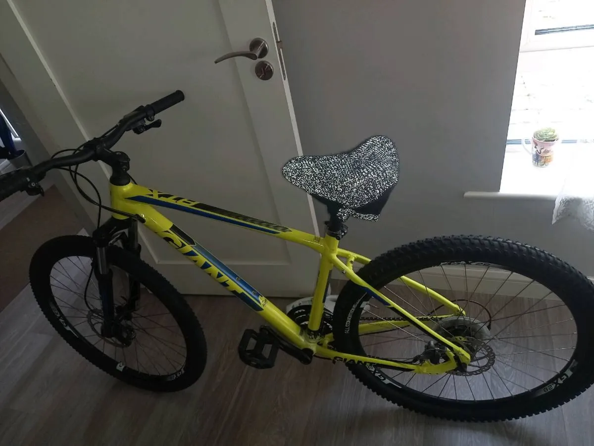 Bicycle