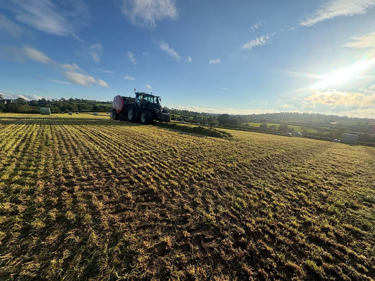 High-quality round bales silage - Image 3