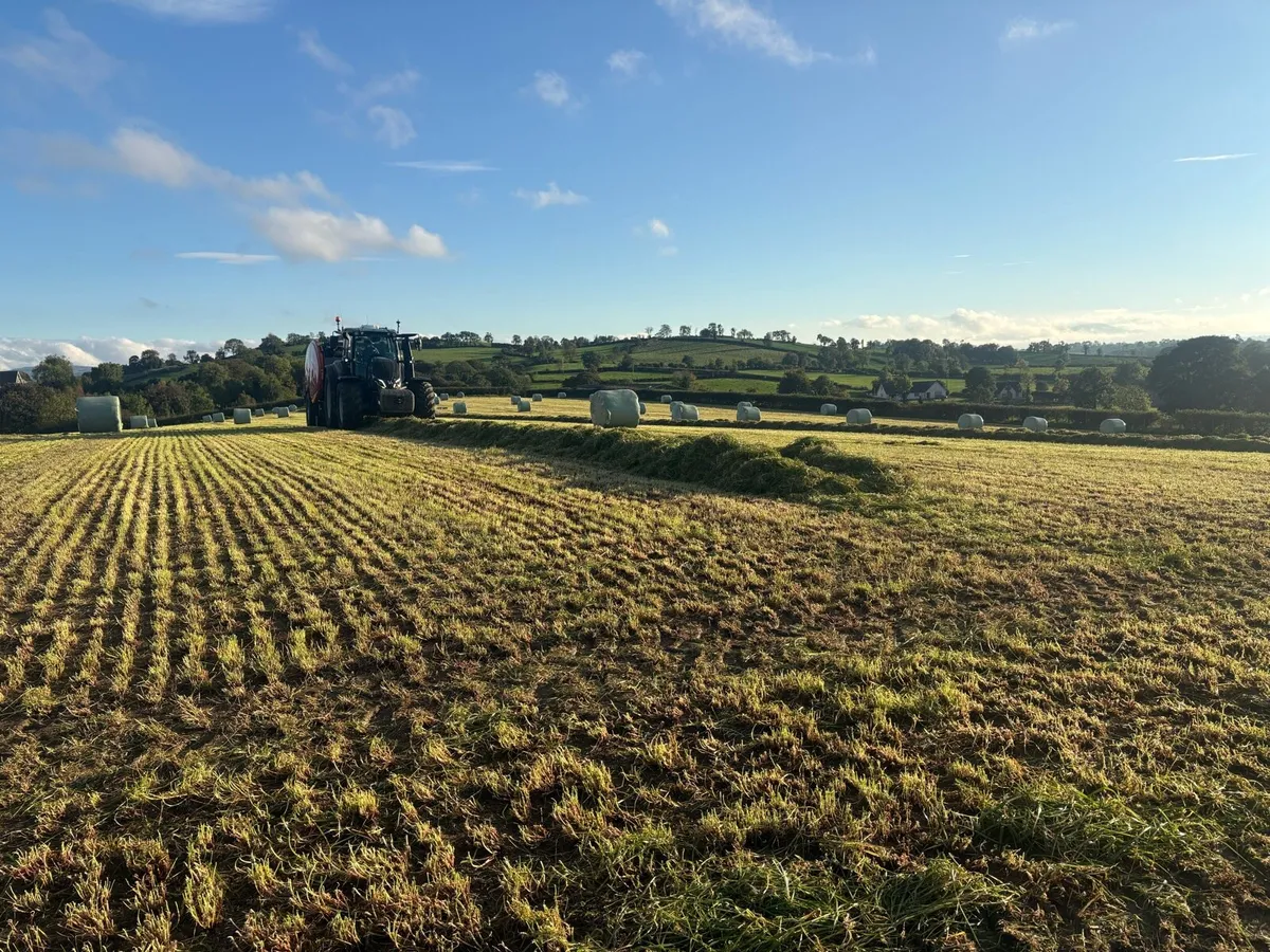 High-quality round bales silage - Image 4