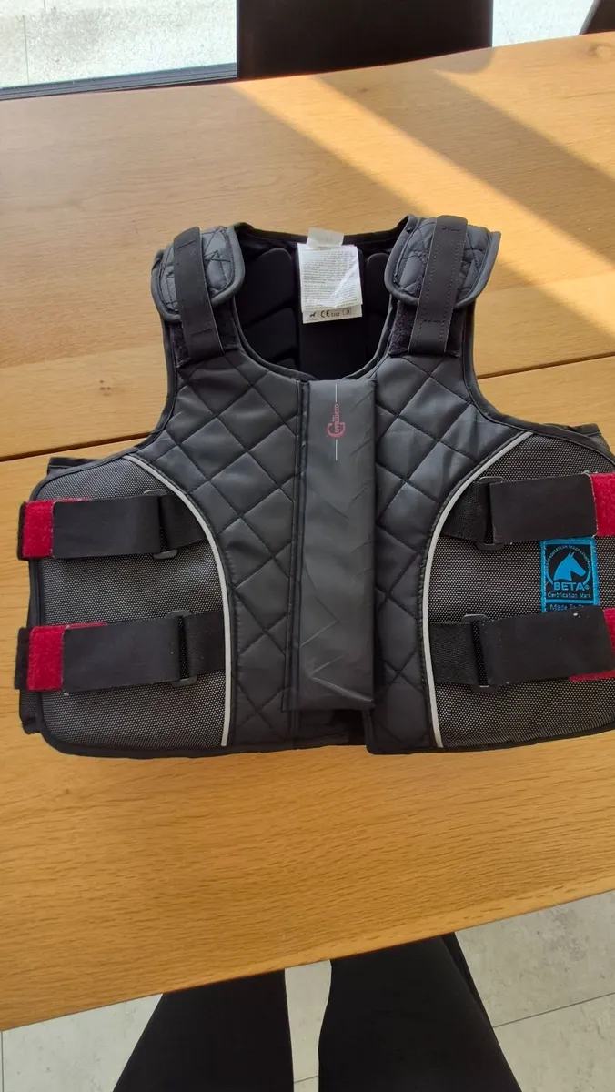Body protector - Image 2
