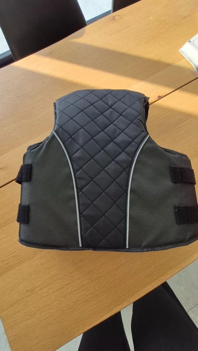 Body protector - Image 3