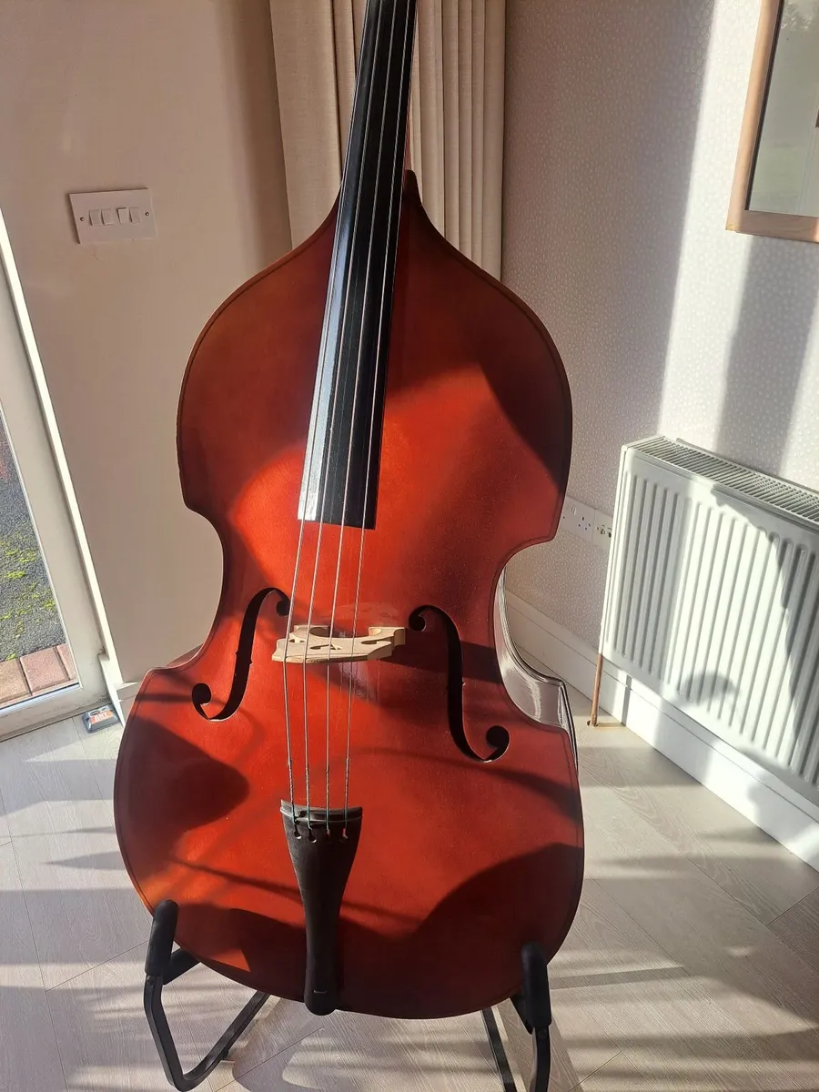Double Bass - Image 4