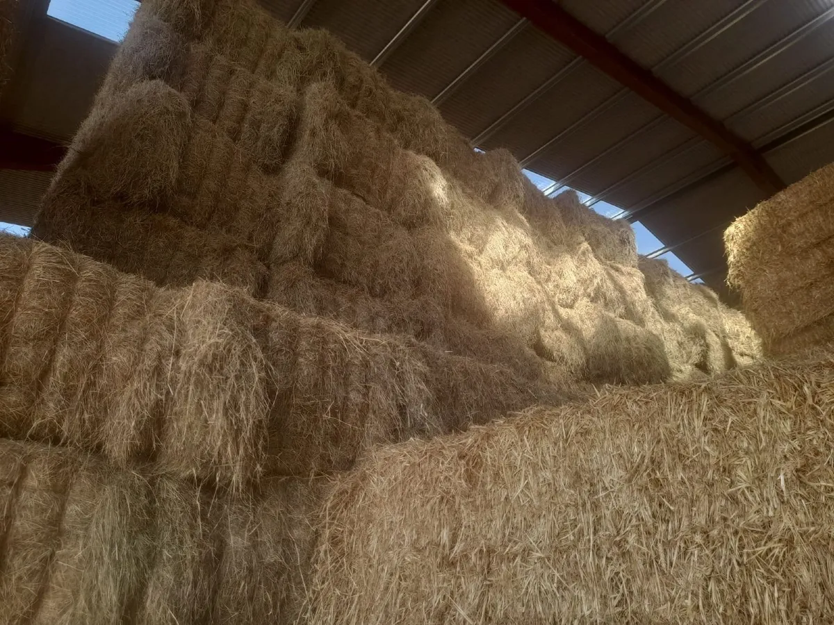 Hay Bales 8X4X3 - Image 2