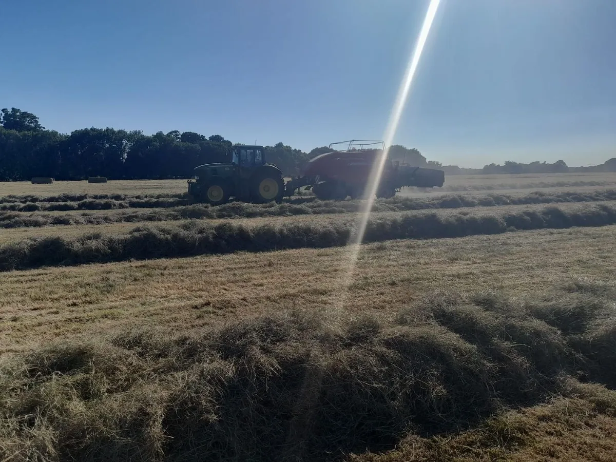 Hay Bales 8X4X3 - Image 3