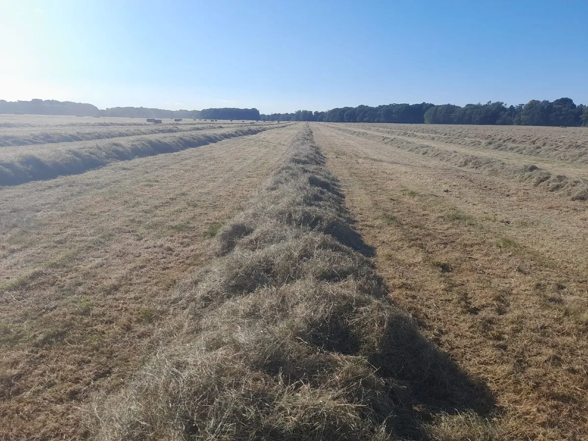 Hay Bales 8X4X3 - Image 4