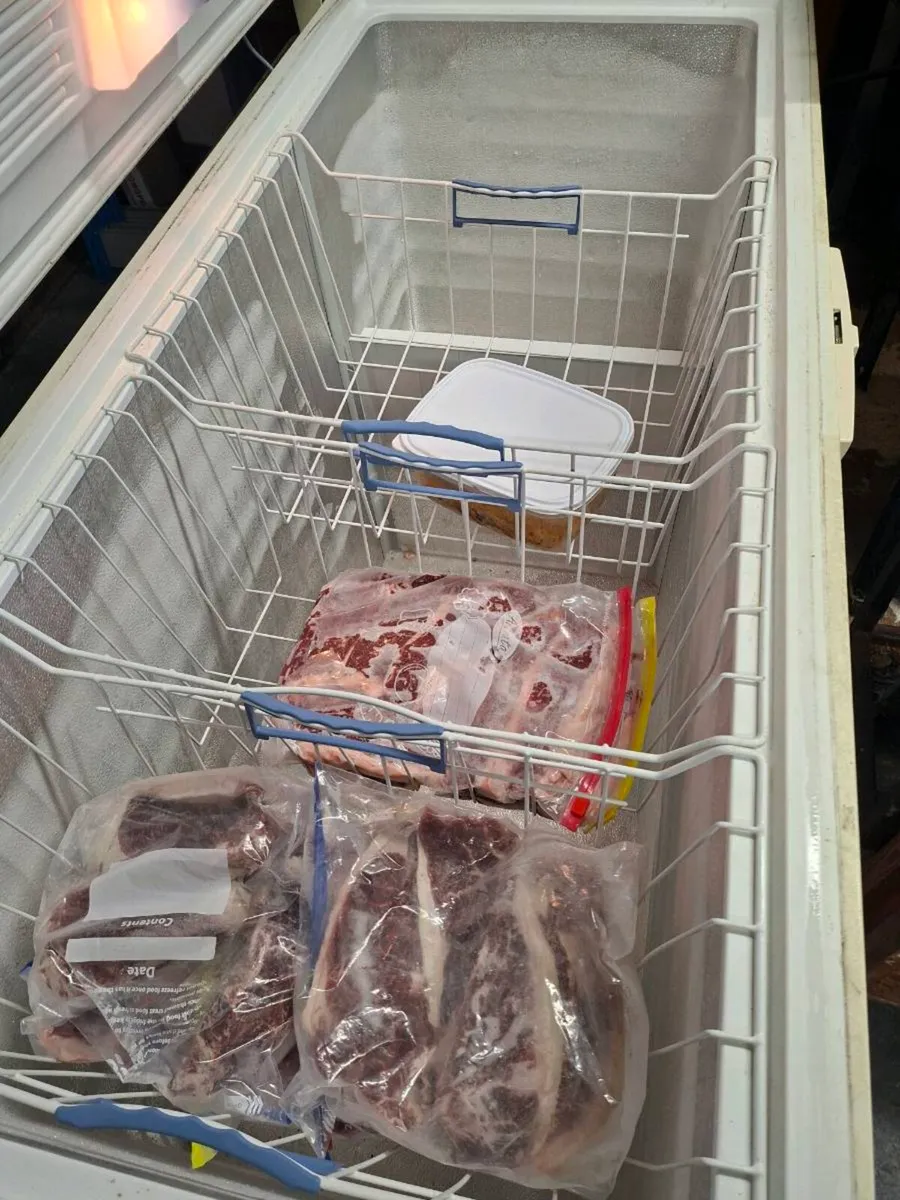Freezer - Image 1