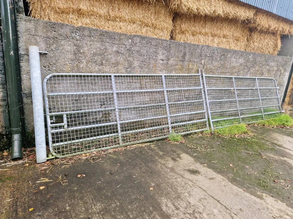 Gates - Image 1
