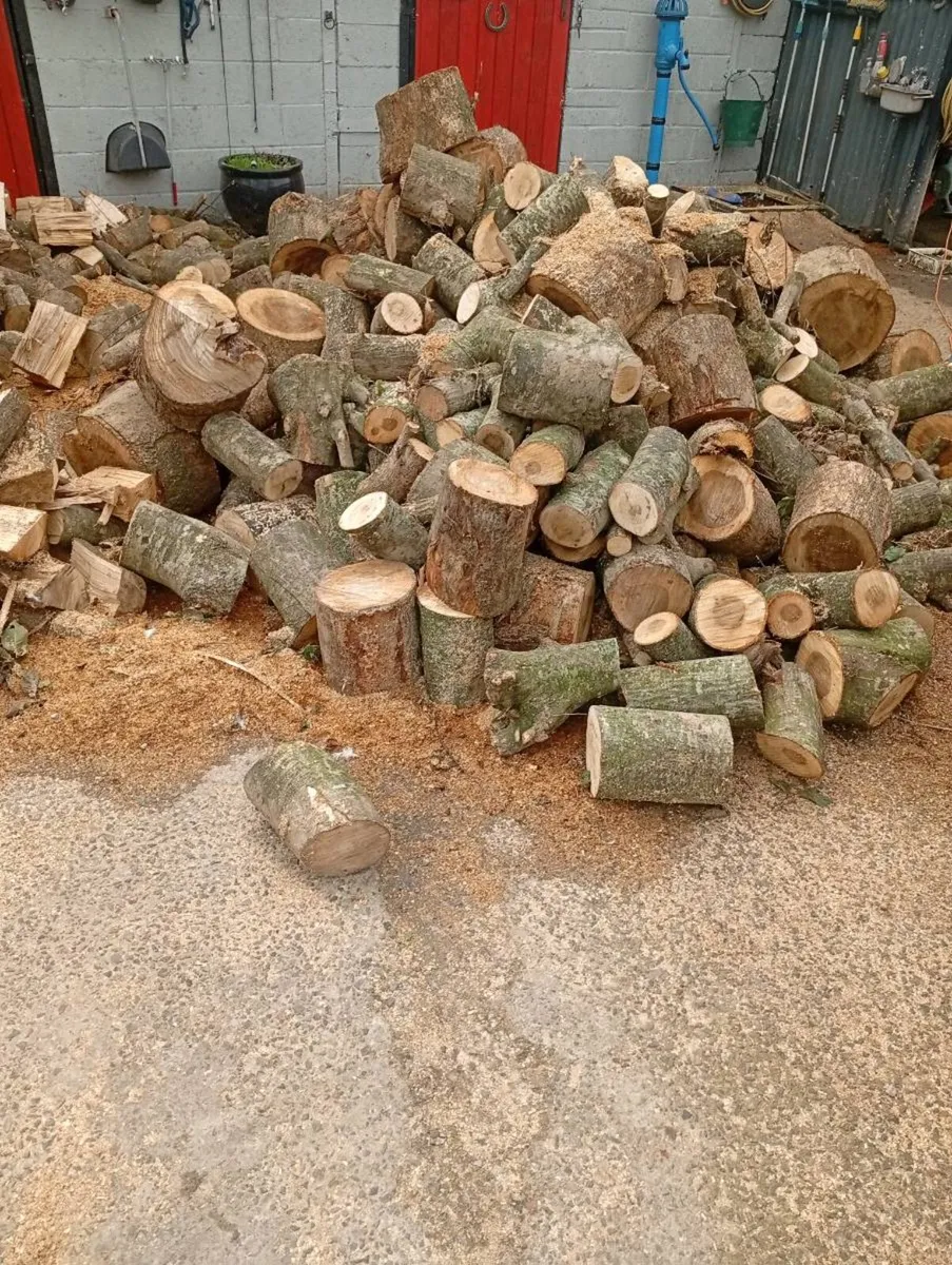 Firewood - Image 1