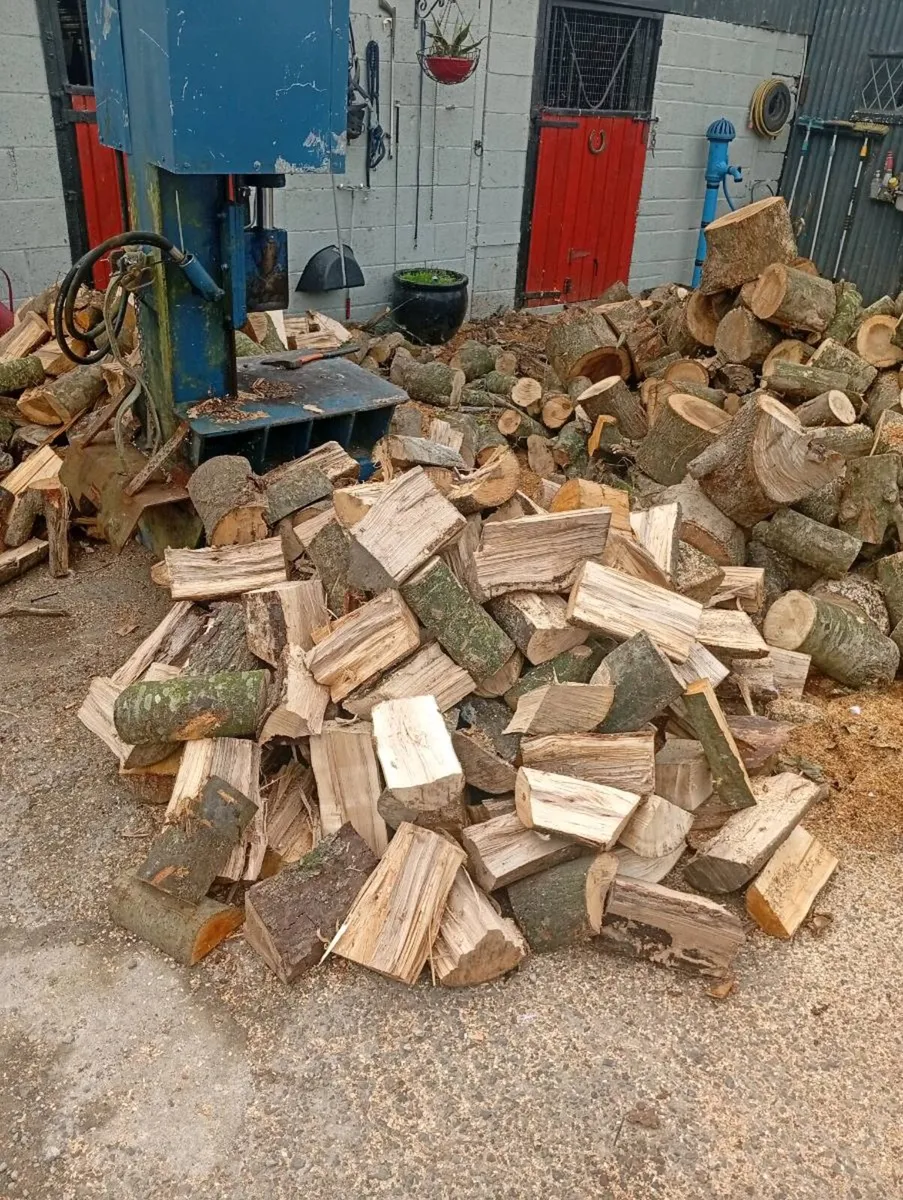 Firewood - Image 2
