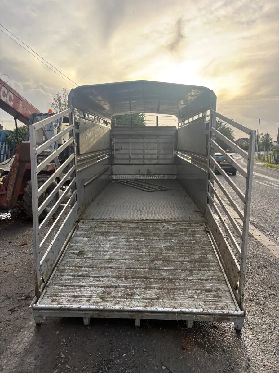 Hudson 14ft cattle trailer - Image 3