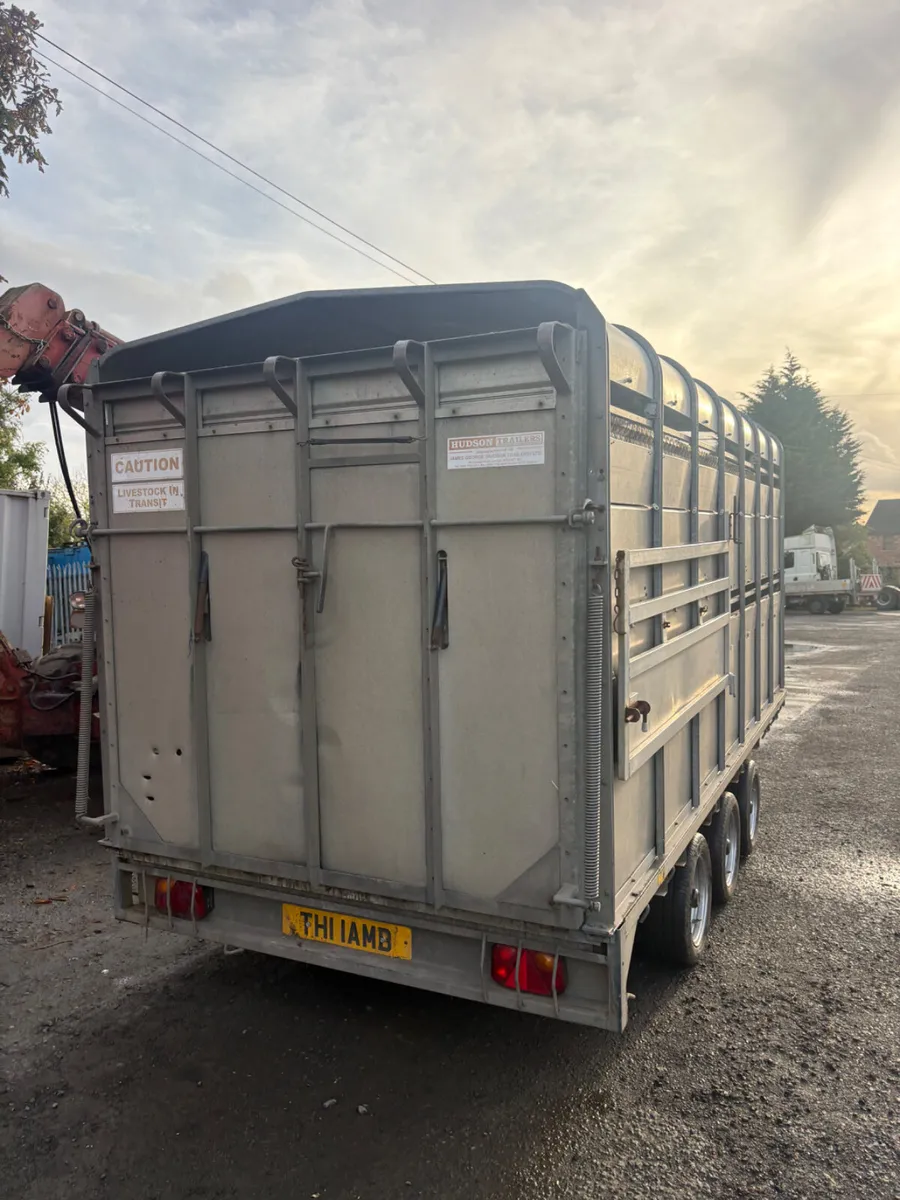 Hudson 14ft cattle trailer - Image 2