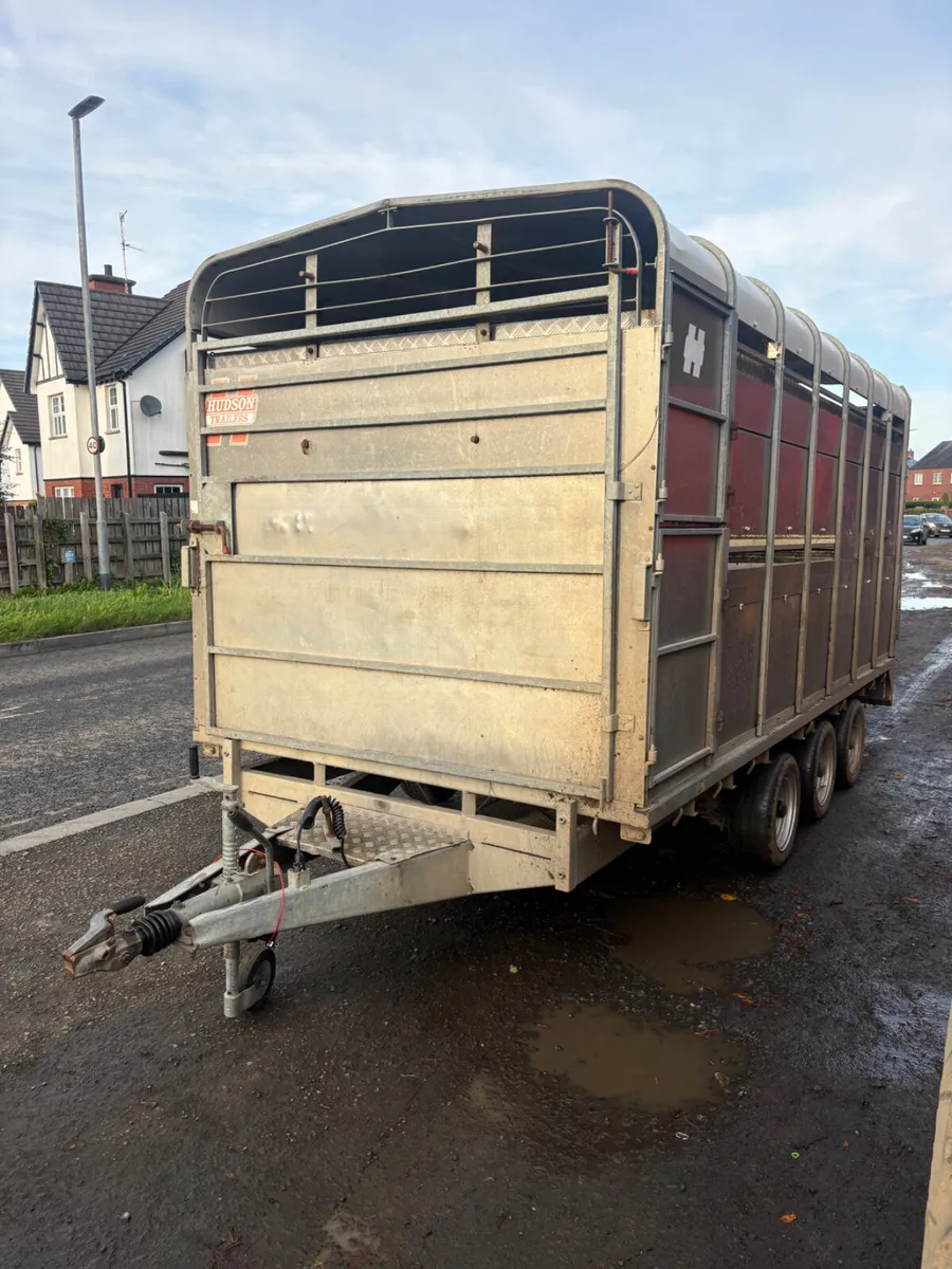 Hudson 14ft cattle trailer - Image 1