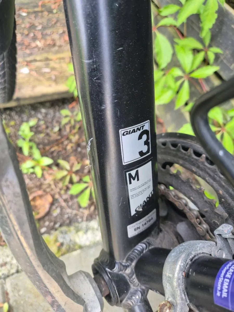 Giant Hybrid Bike - Image 3