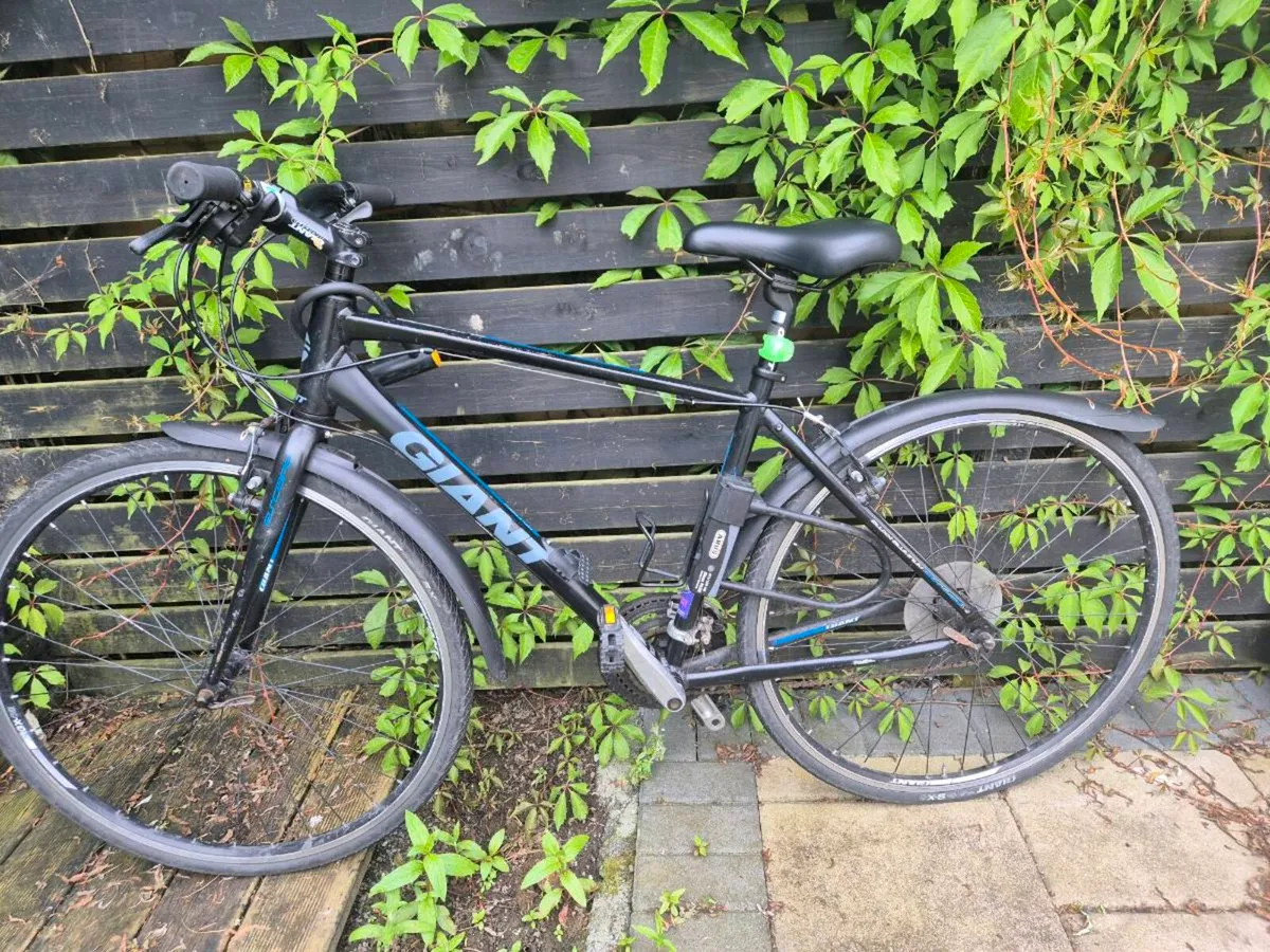 Giant Hybrid Bike - Image 1