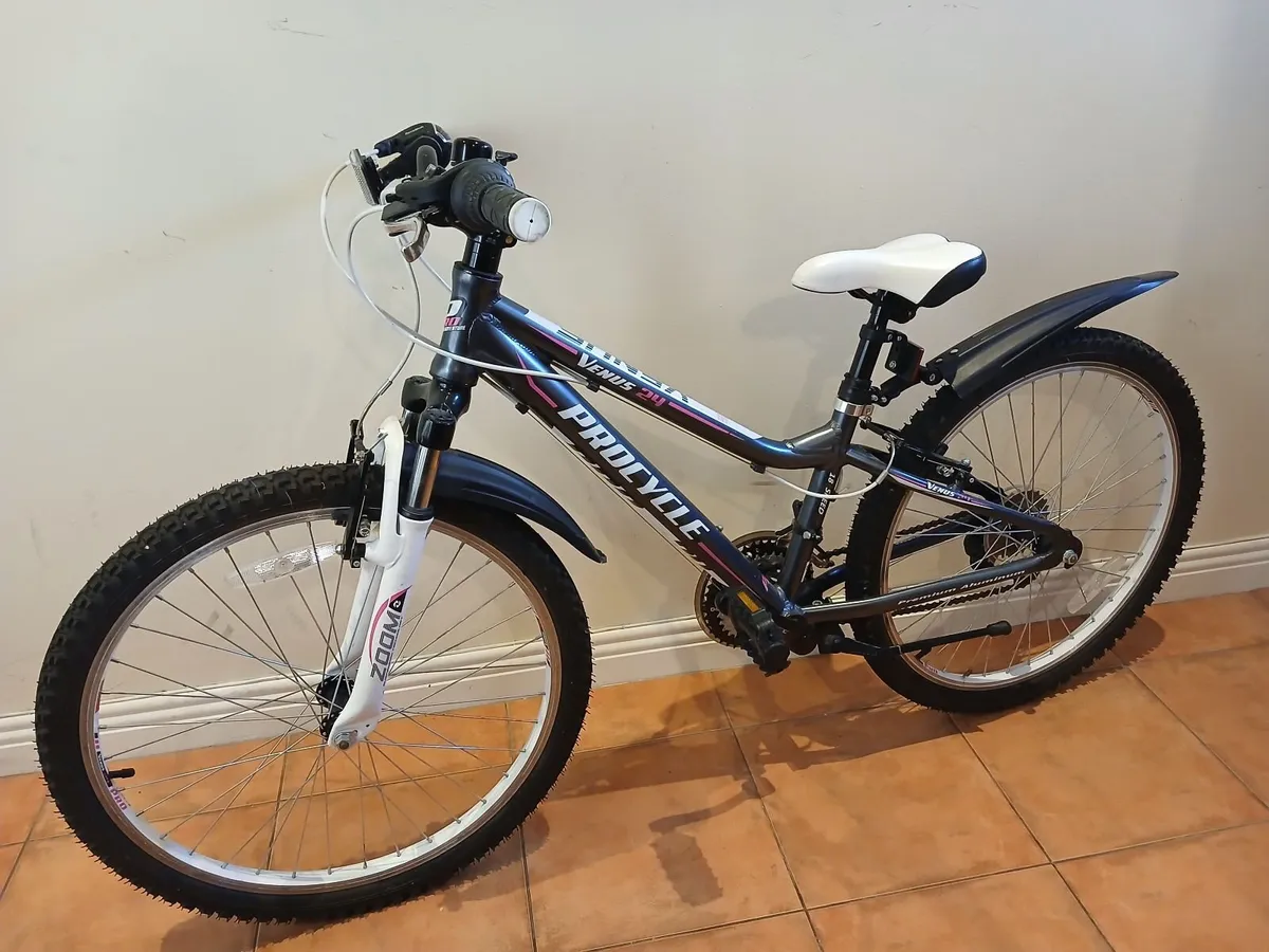 Bicycle - Image 1
