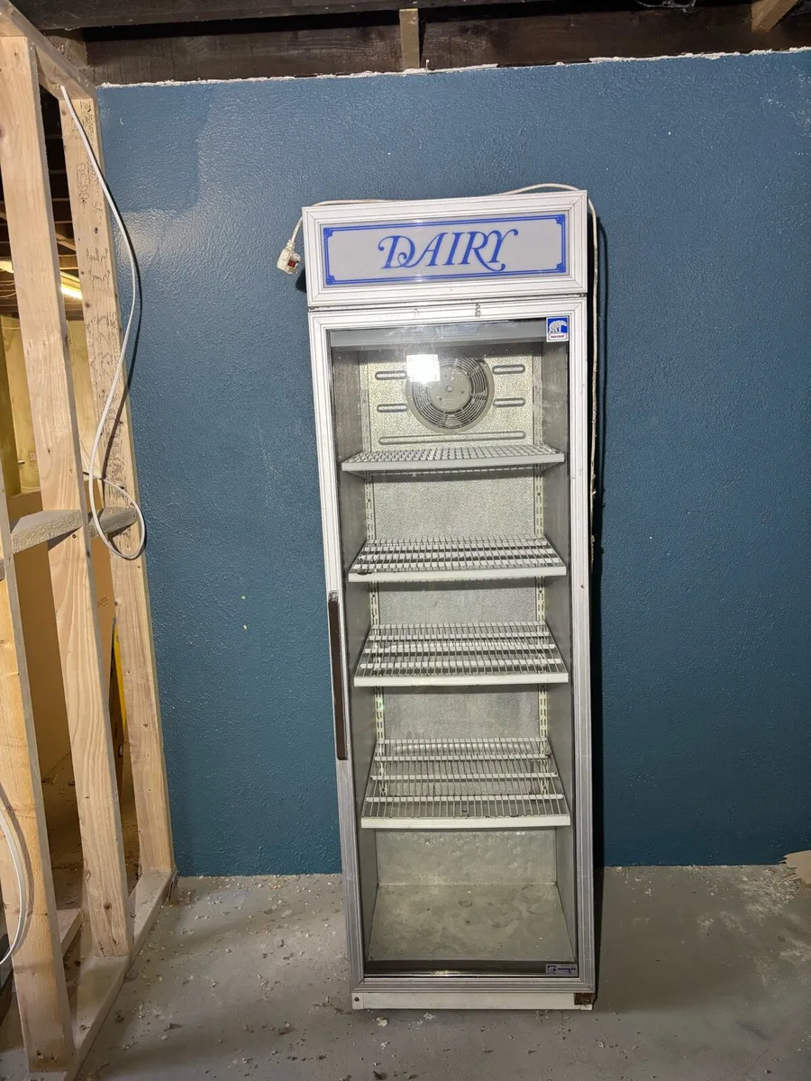 Display Fridge - Image 1
