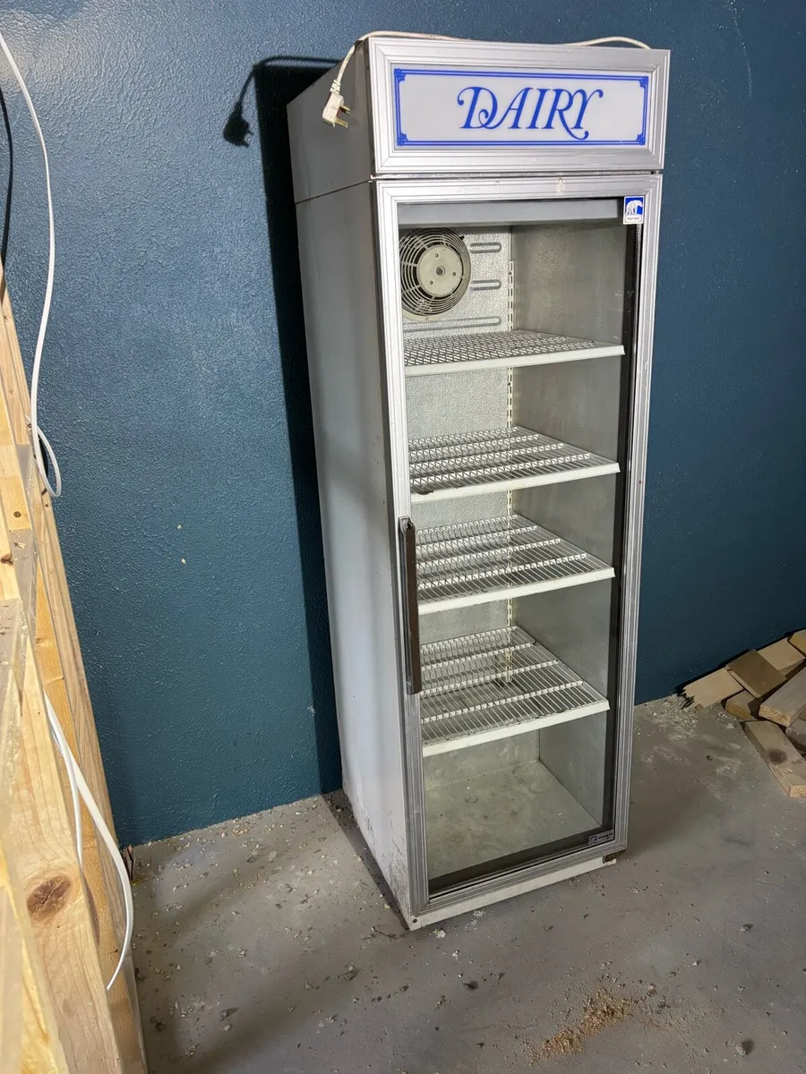 Display Fridge - Image 2