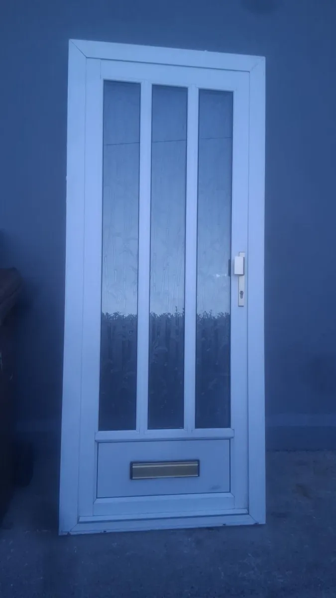 Door 35x82