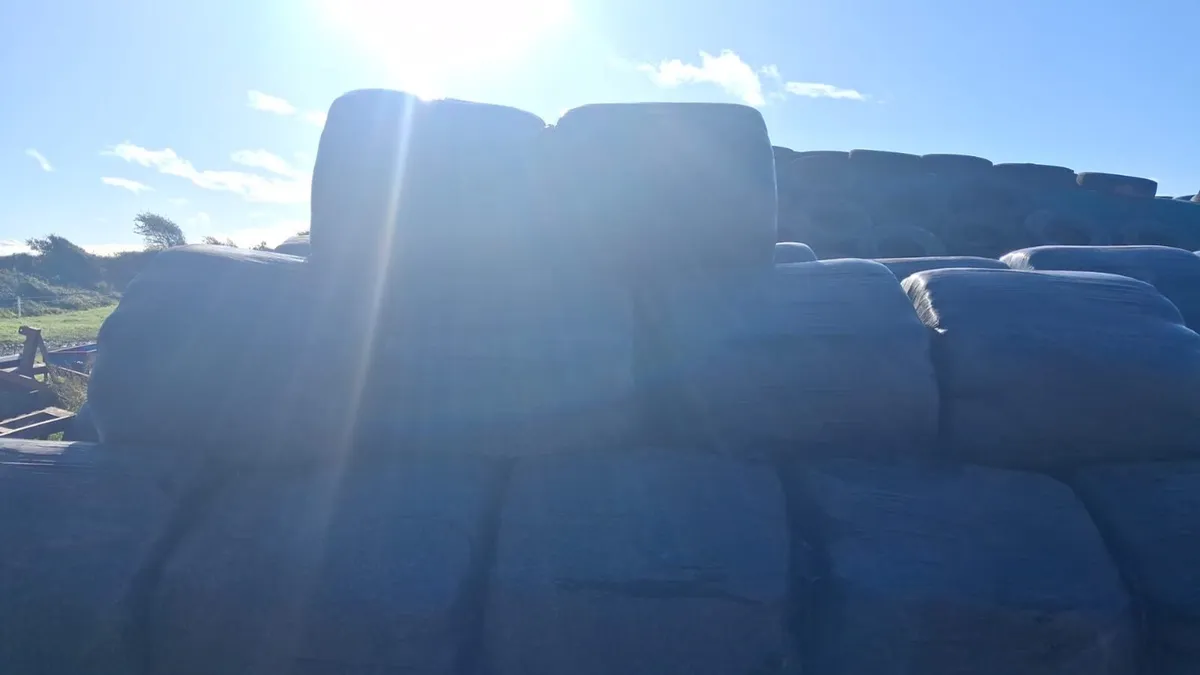 Silage bales