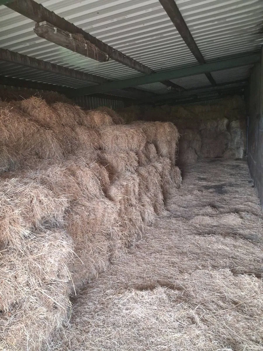 Organic Hay - Image 1