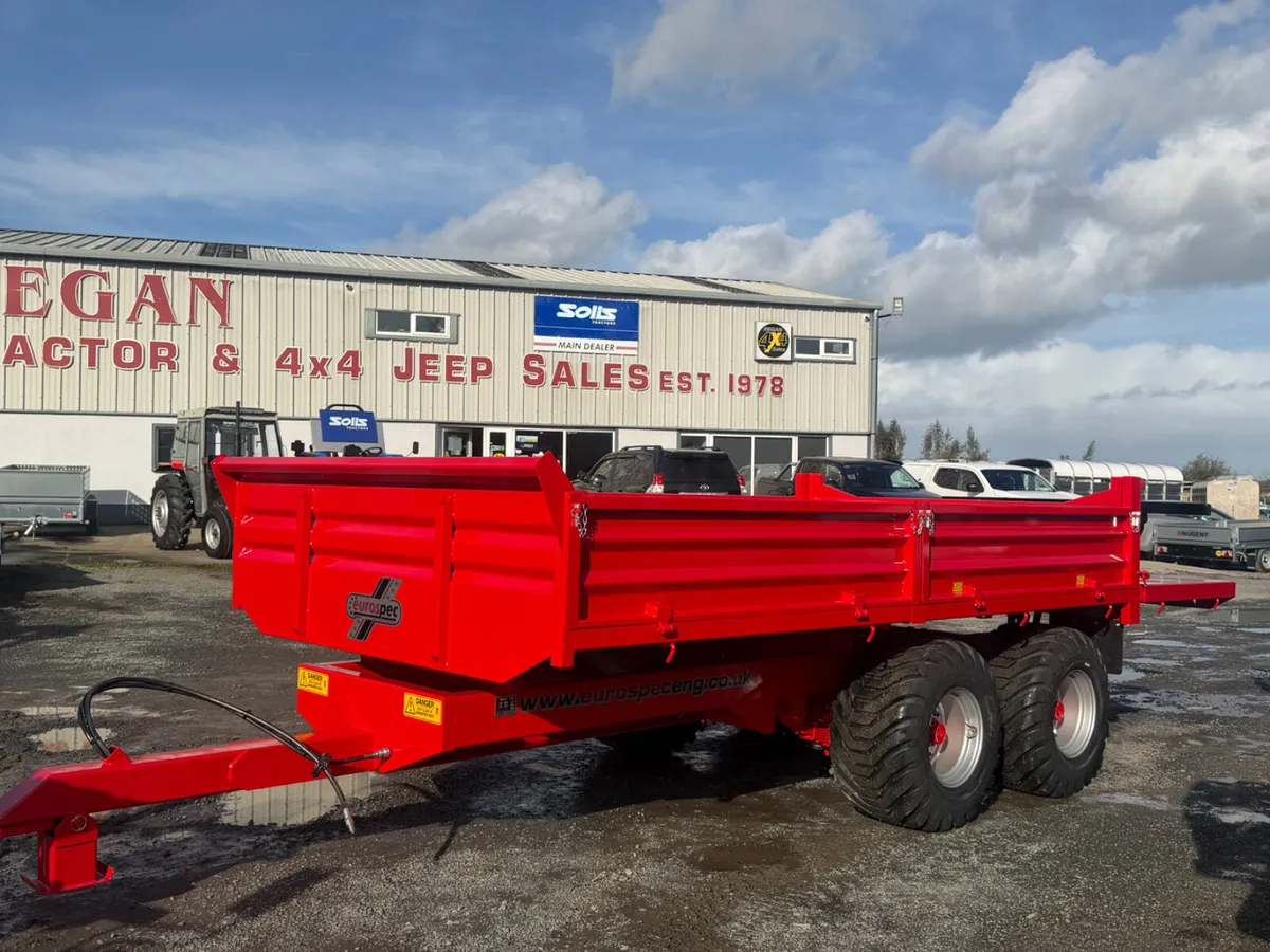 Eurospec Tipper Trailer 14x8 - Image 3