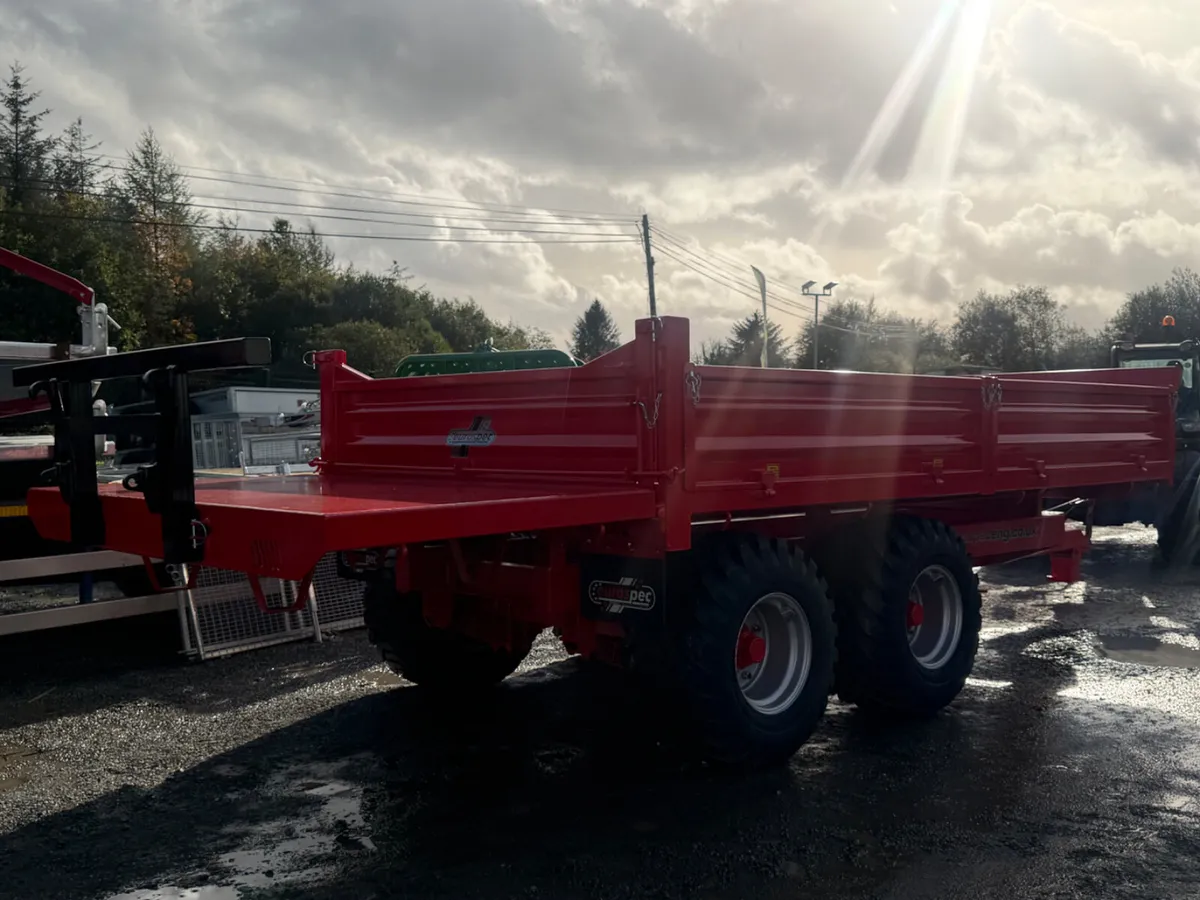 Eurospec Tipper Trailer 14x8 - Image 4