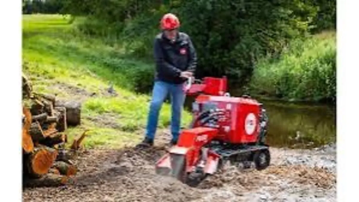 STUMP GRINDING SERVICE - Image 1