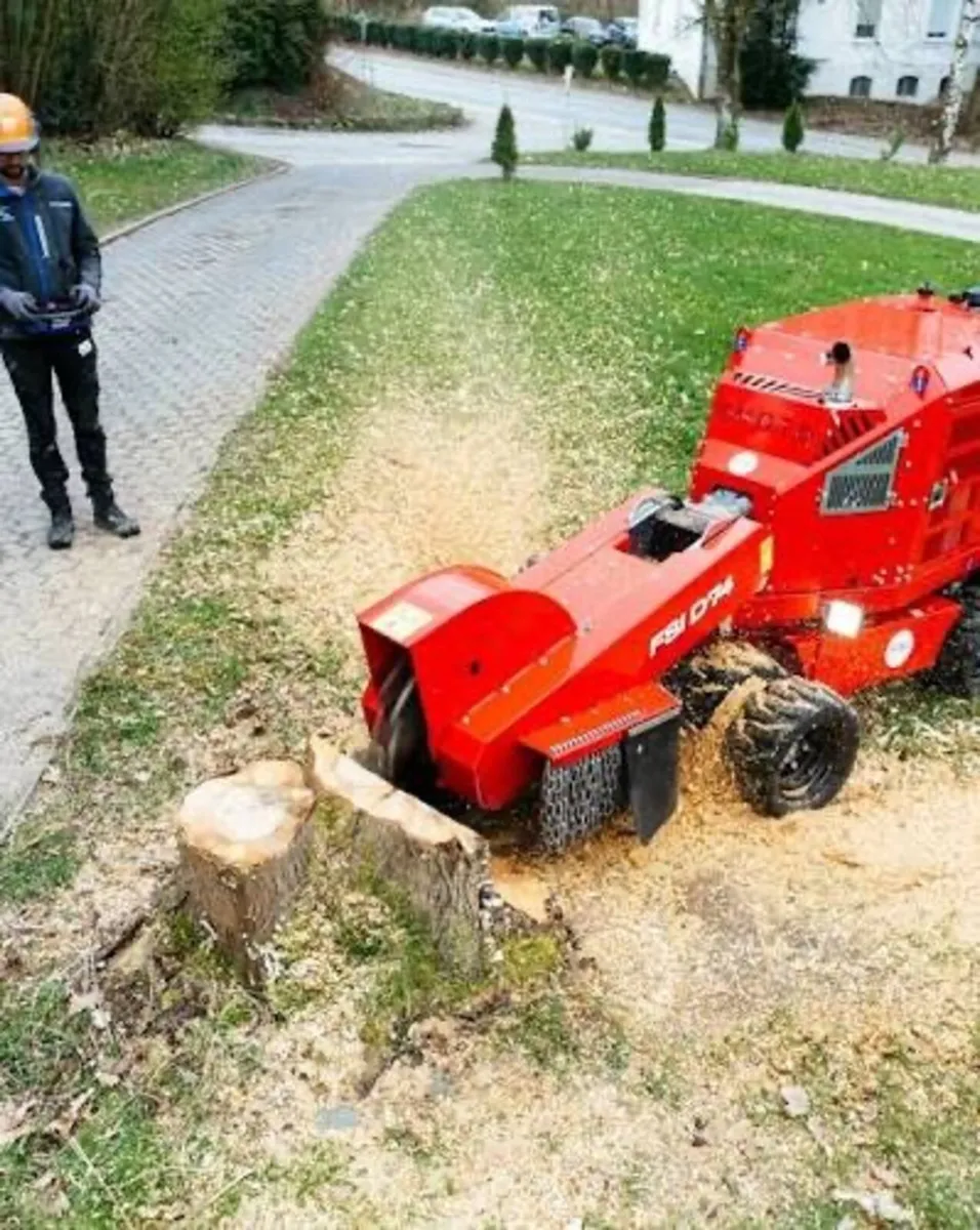 STUMP GRINDING SERVICE - Image 3