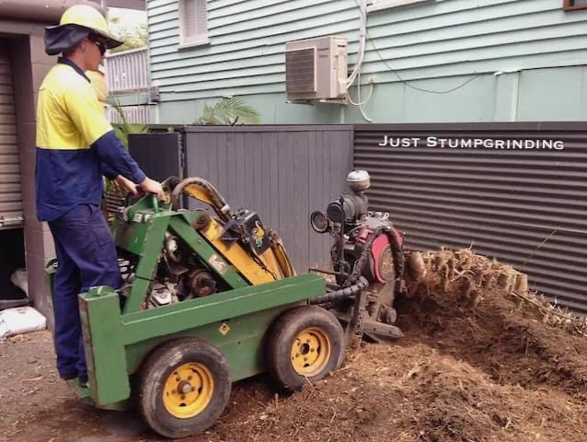 bamboo removal service - Image 3