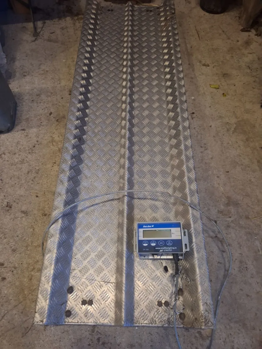Cattle scales and  Clock - Image 4
