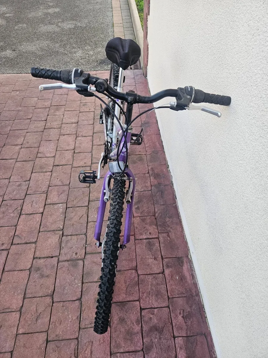 Bike - Image 2