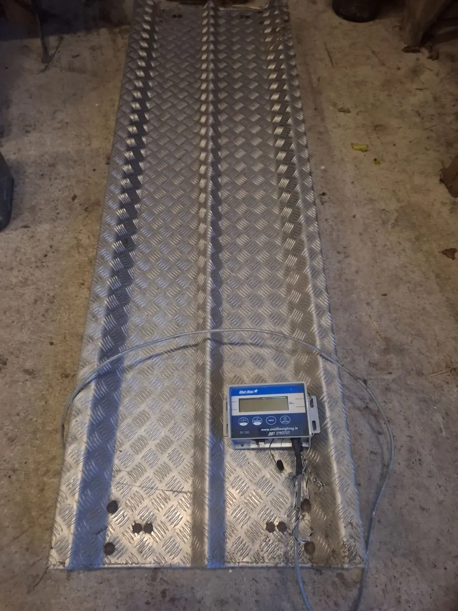 Cattle scales and  Clock - Image 2