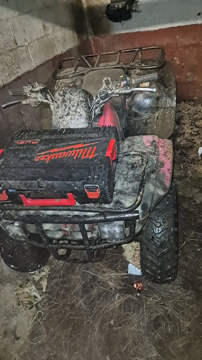 Honda trx250 - Image 4