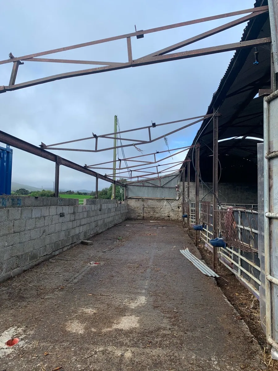 Shed - Image 1