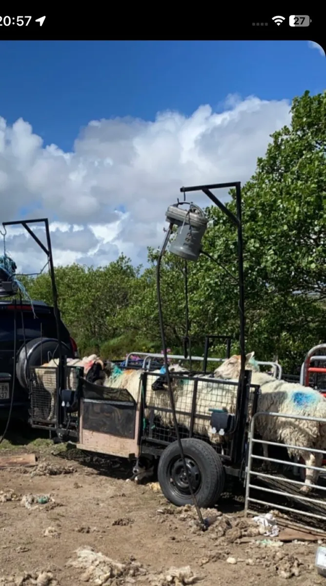 Sheep shearing/handling trailer - Image 2