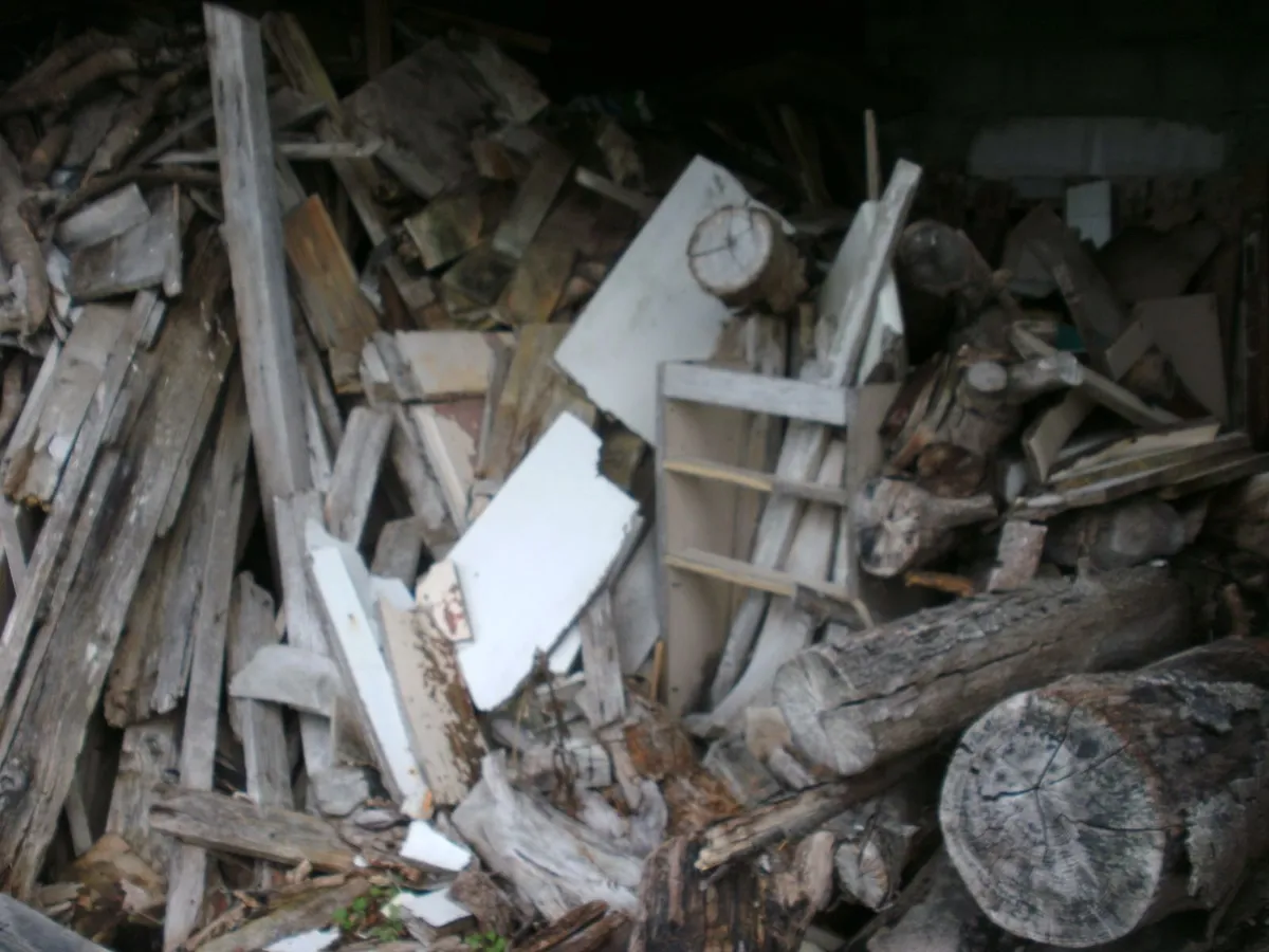 Timber for firing, Free to good home - Image 2