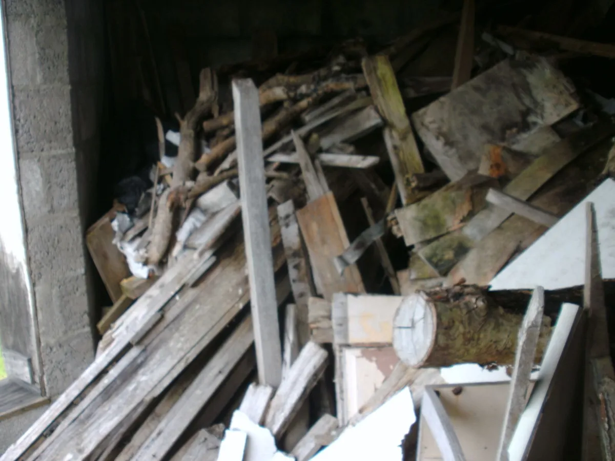 Timber for firing, Free to good home - Image 3